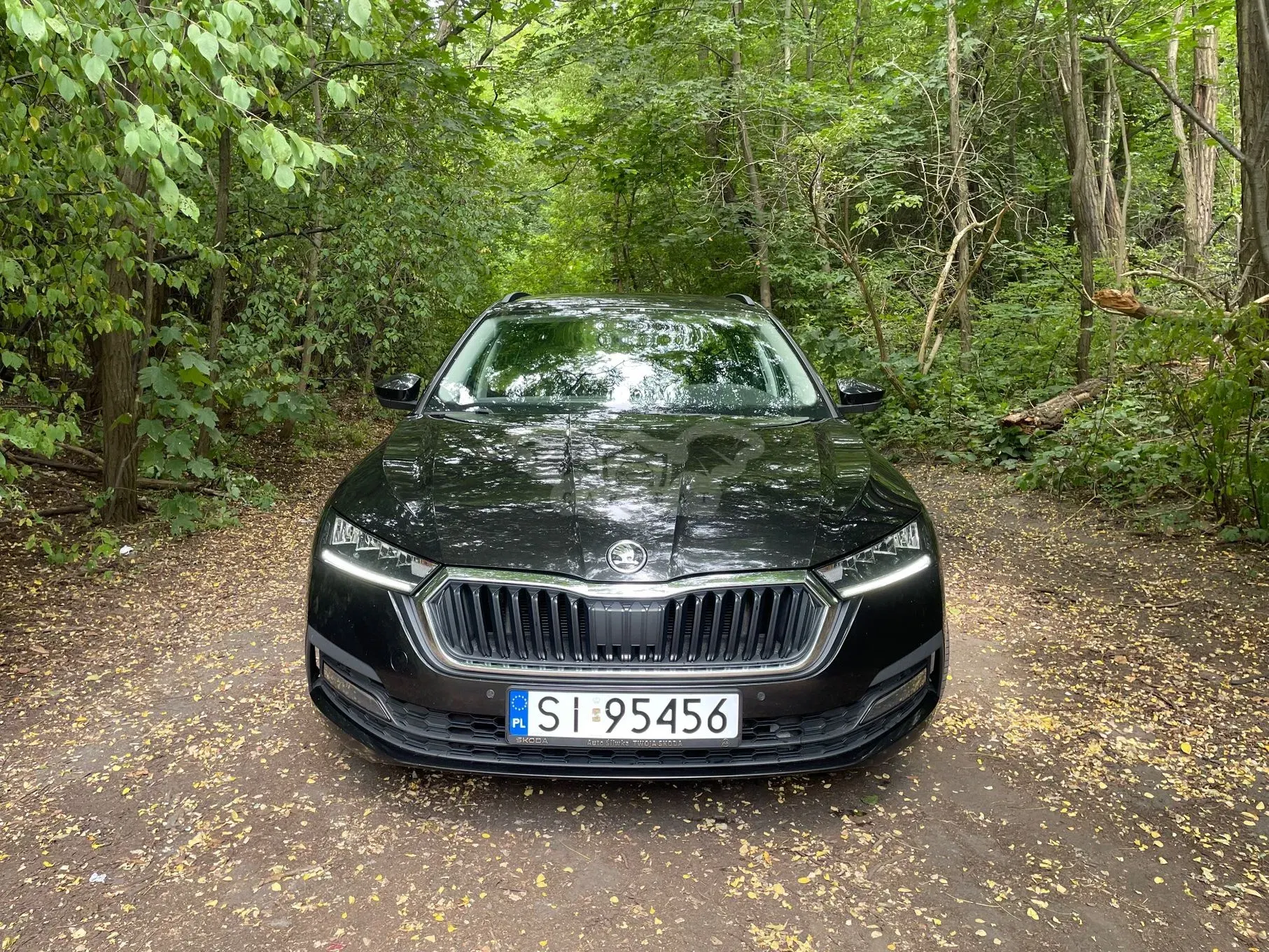 Skoda Octavia IV (2020-) 1.5 TSI ACT Ambition 2020