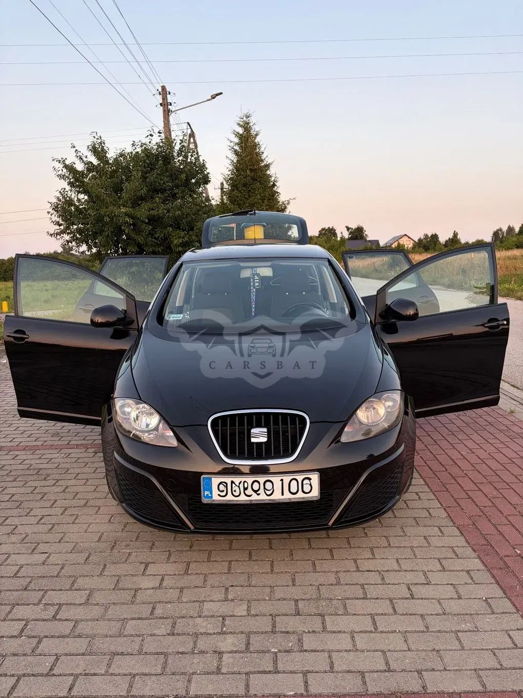 Seat Altea 2010