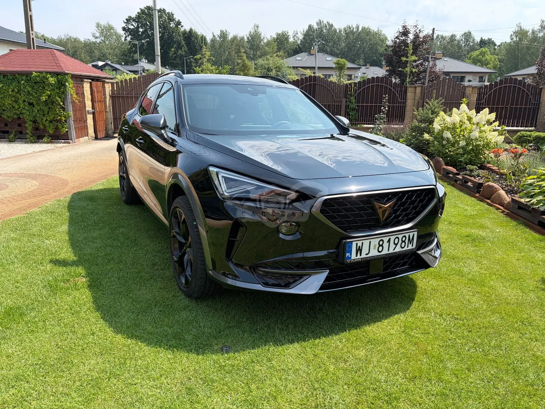 Cupra Formentor 1.5 TSI DSG 2024