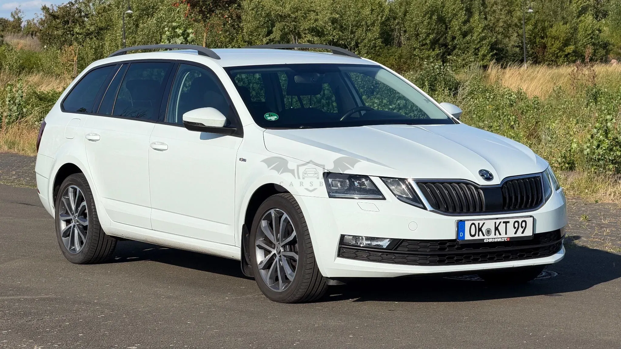 Skoda Octavia III (2013-) 2019
