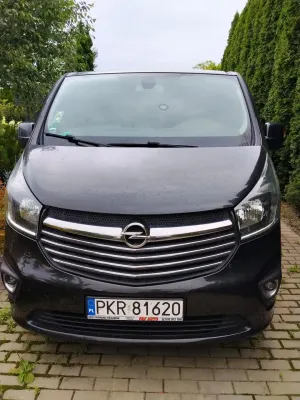 Renault Trafic III (2014-) L2H1 2,9t Pack Clim 2018
