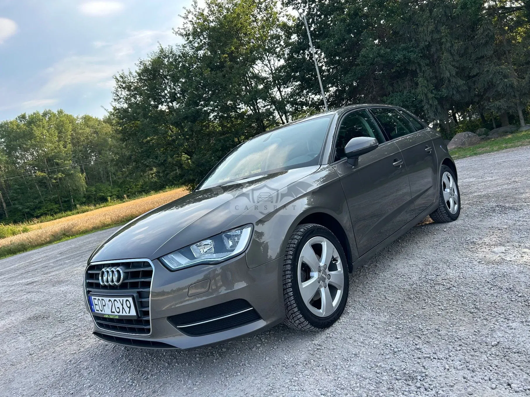 Audi A3 8V (2012-) 2013