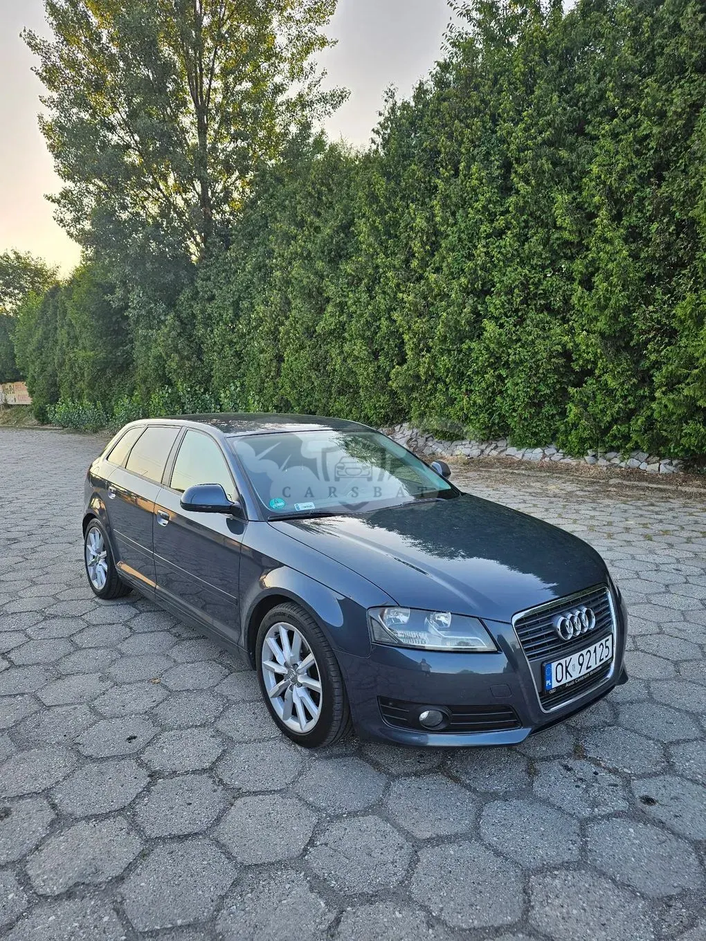 Audi A3 8P (2003-2012) 2.0 TDI Ambiente 2008