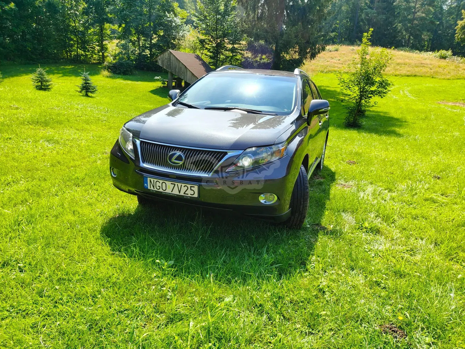 Lexus RX III (2009-2015) 2009