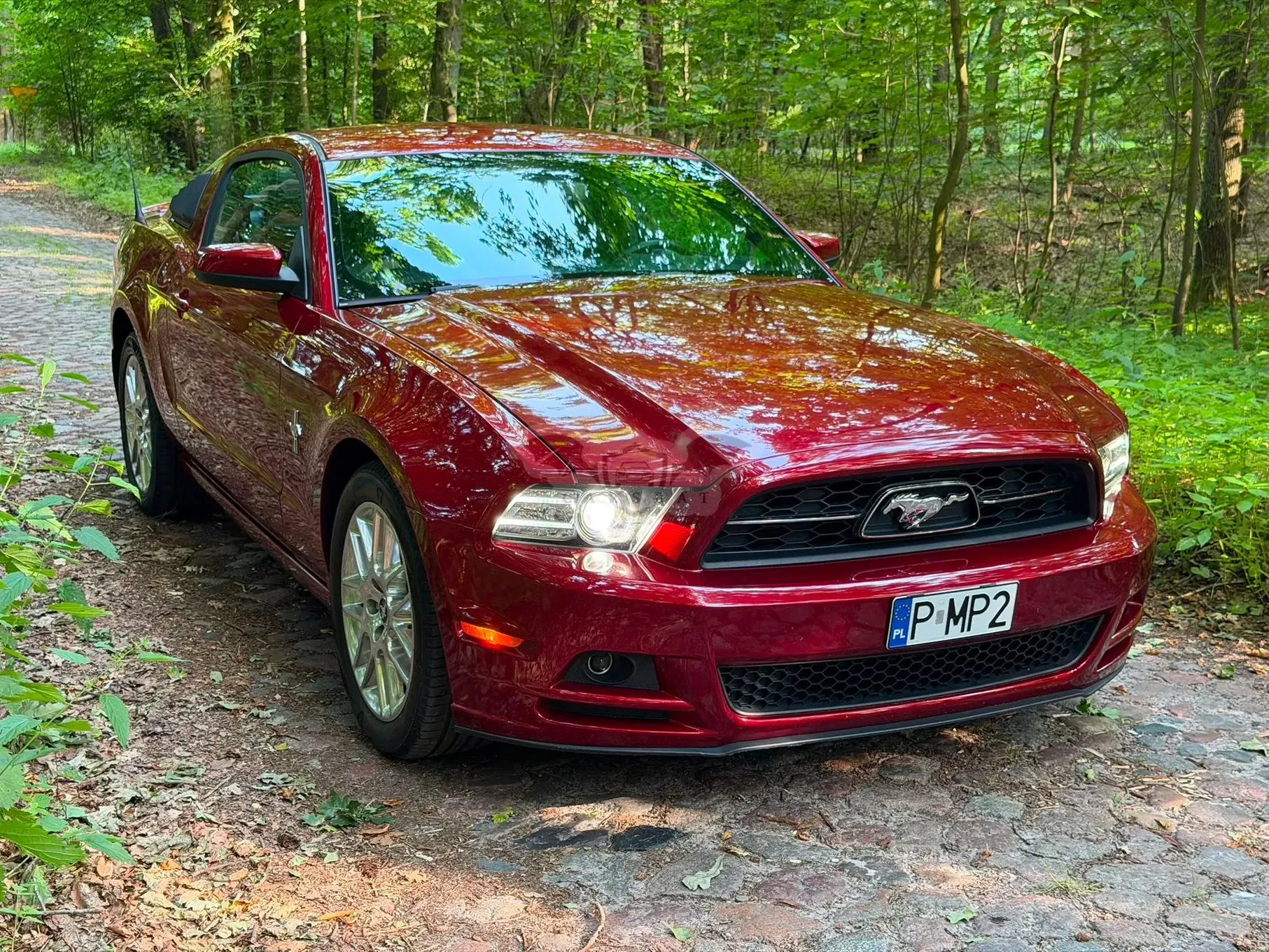 Ford Mustang 3.7 V6 Premium 2013