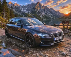 Audi A4 B8 (2007-2015) 2010