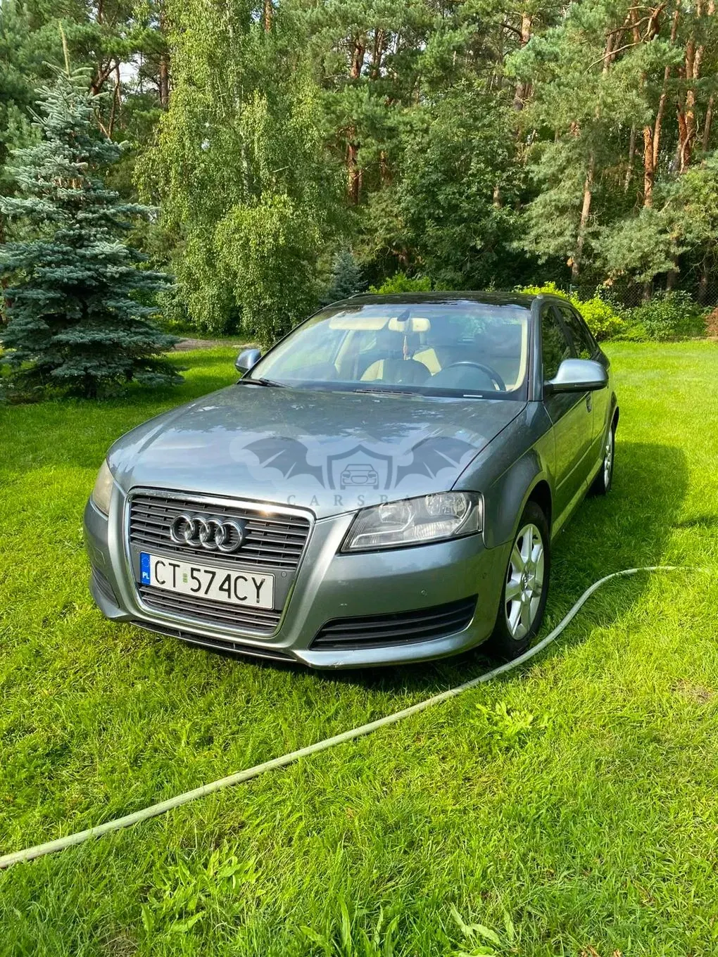 Audi A3 8P (2003-2012) 1.9 TDIe DPF 2009