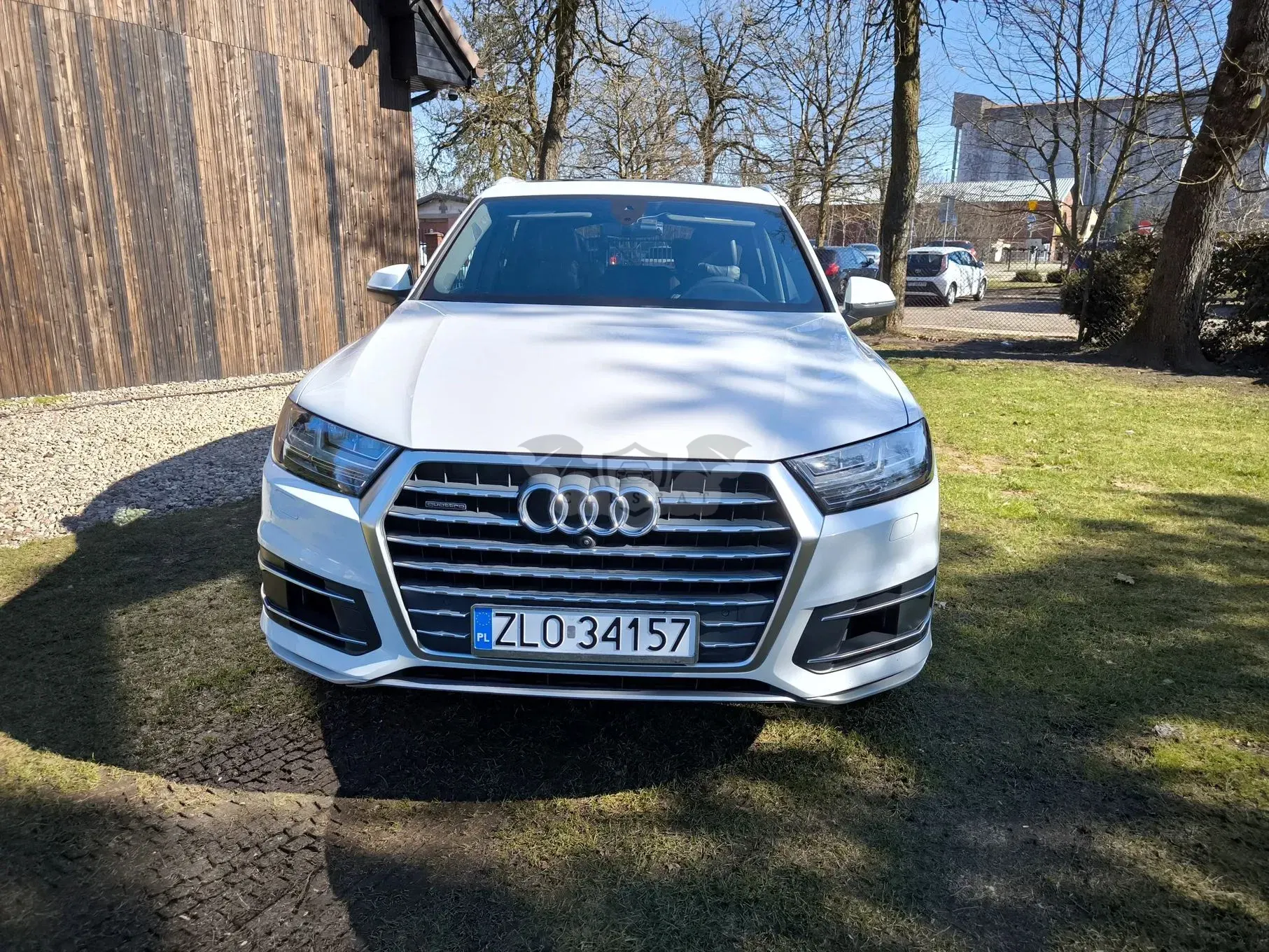Audi Q7 II (2015-) SUV TFSI quattro 250 kW tiptronic 2019