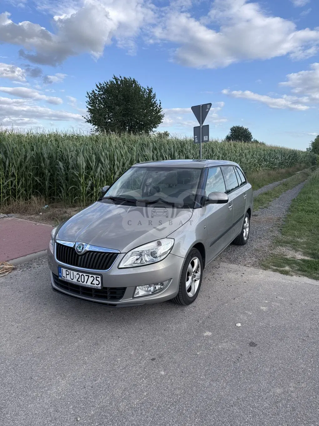 Skoda Fabia II (2007-2014) 1.6 TDI DPF Style 2010