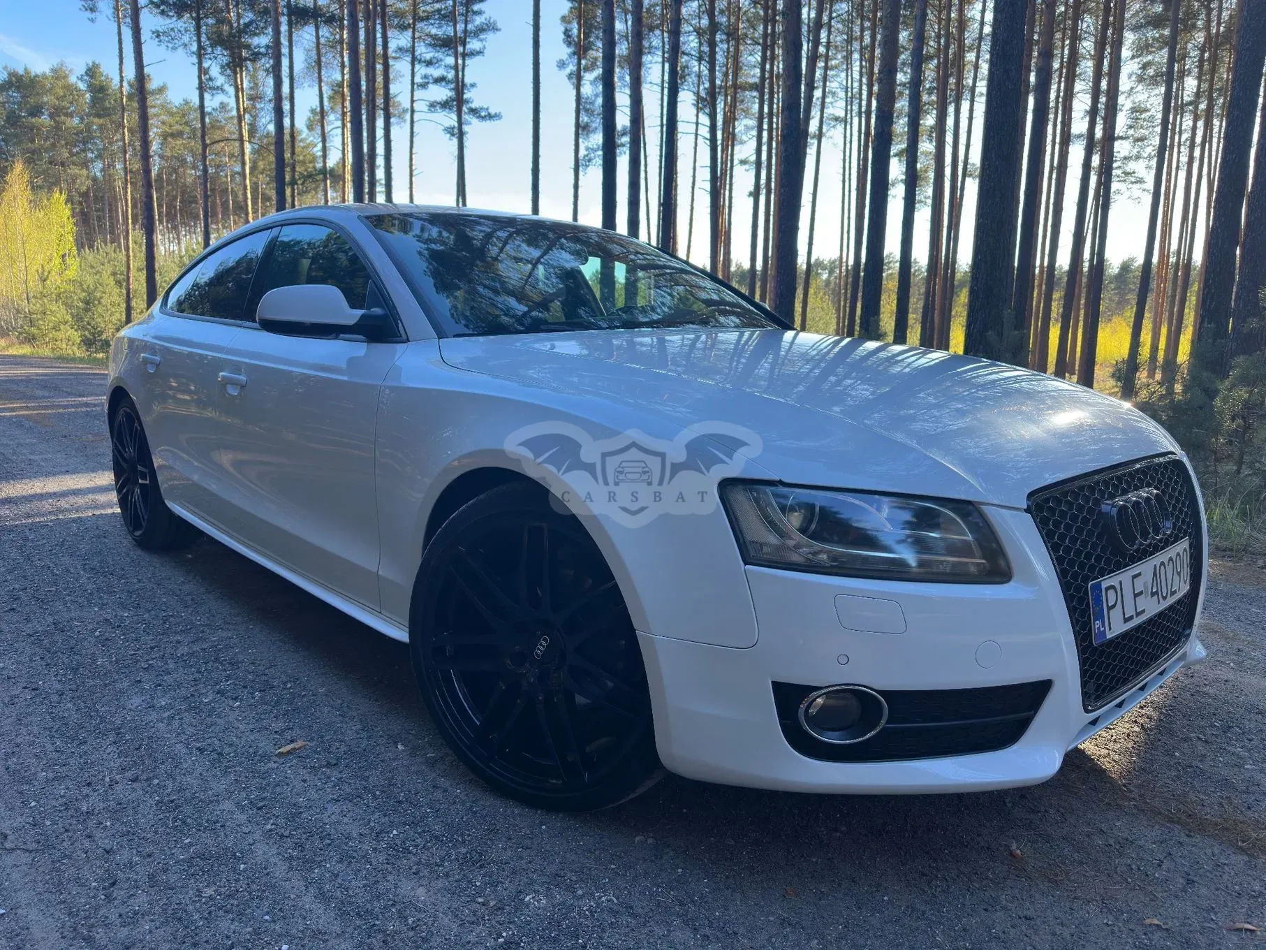 Audi A5 8T (2007-2016) 2.0 TFSI Multitronic 2011