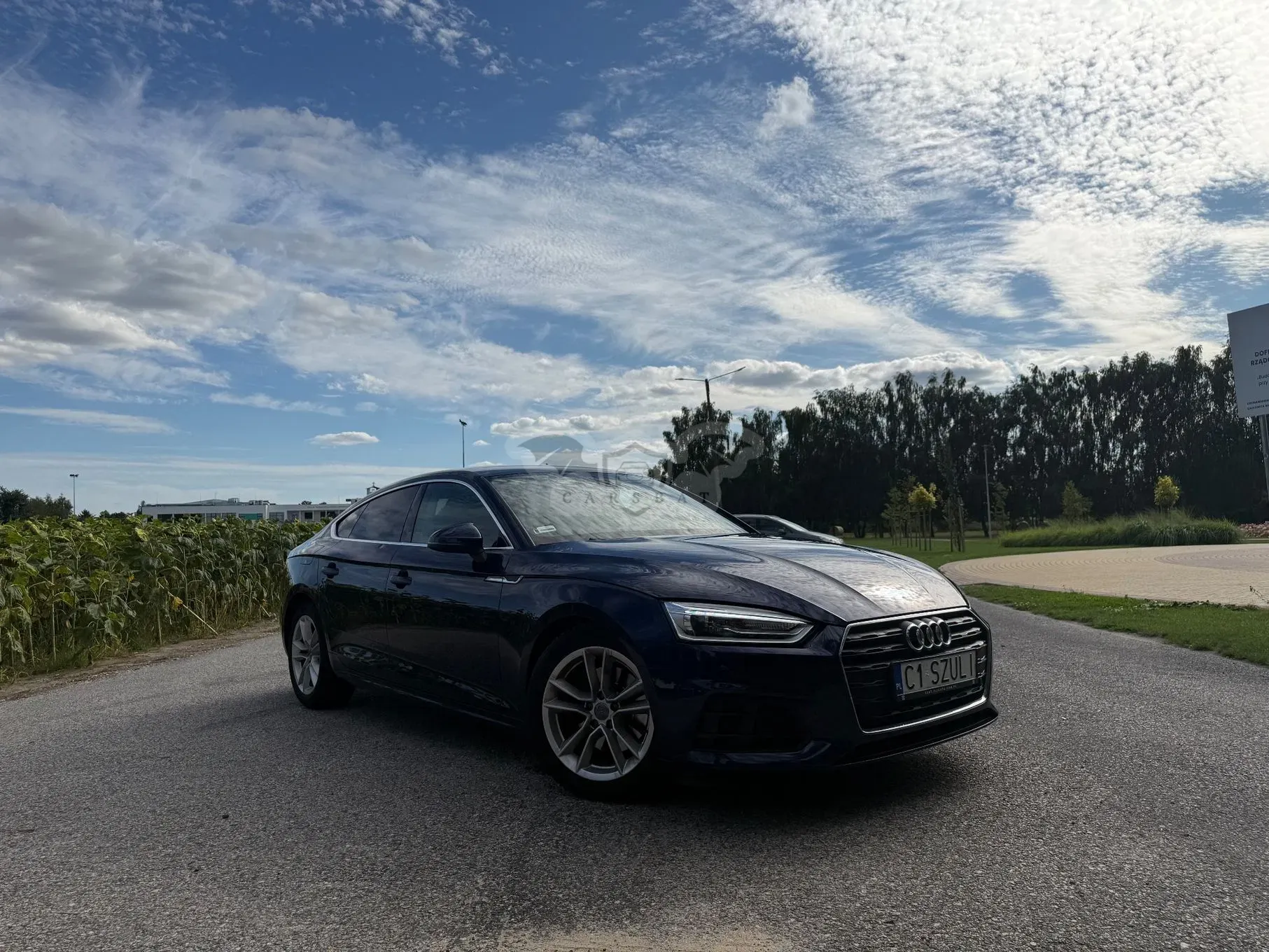Audi A5 F5 (2016-2024) 35 TFSI S tronic 2019
