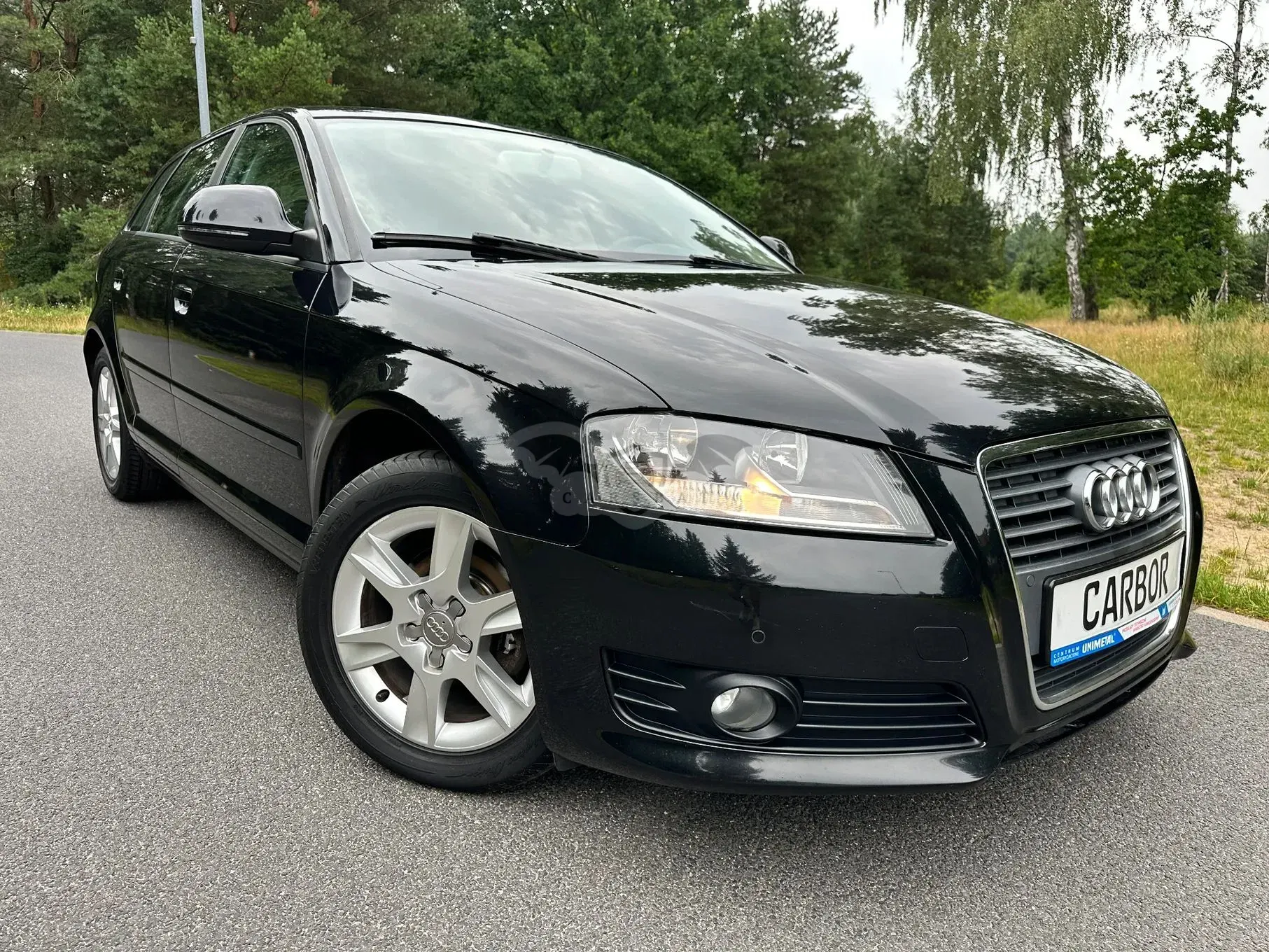 Audi A3 8P (2003-2012) 1.9 TDI Ambiente 2009