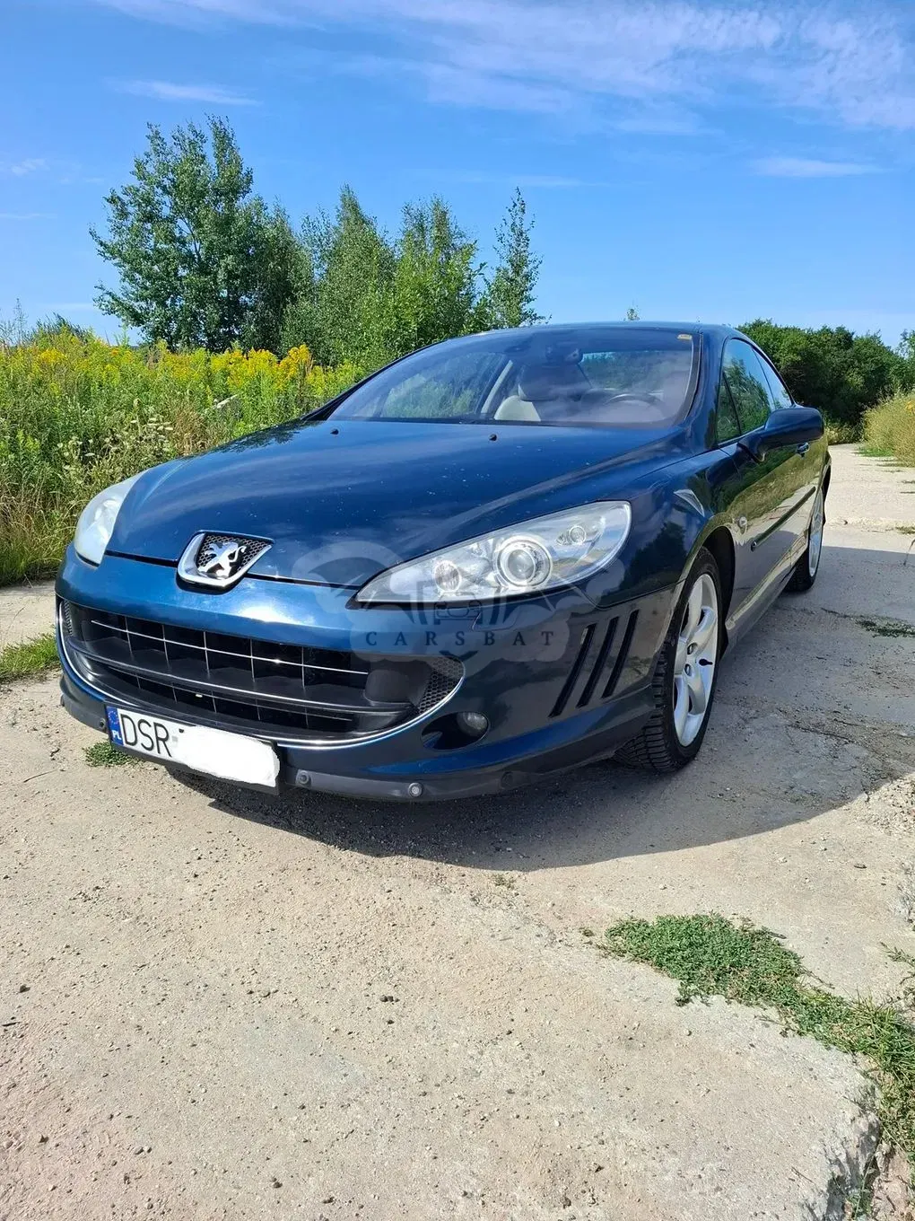 Peugeot 407 2.7HDi V6 Sport 2006