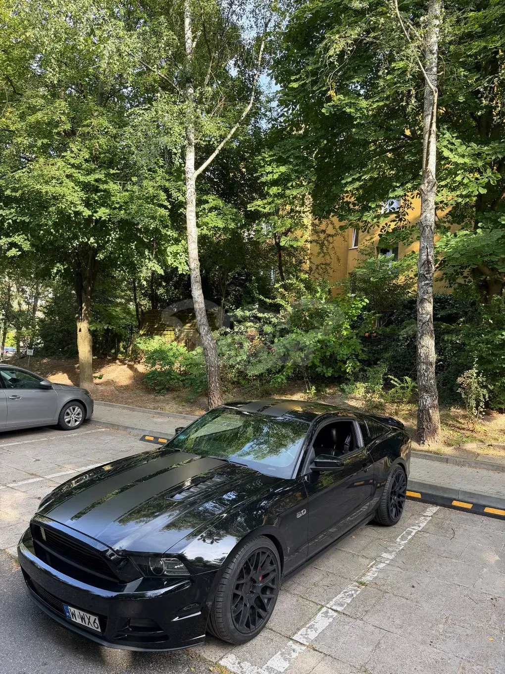Ford Mustang 5.0 V8 GT 2014