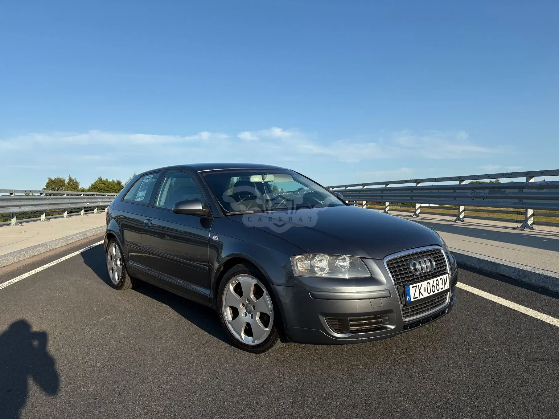 Audi A3 8P (2003-2012) 1.6 Ambition 2005