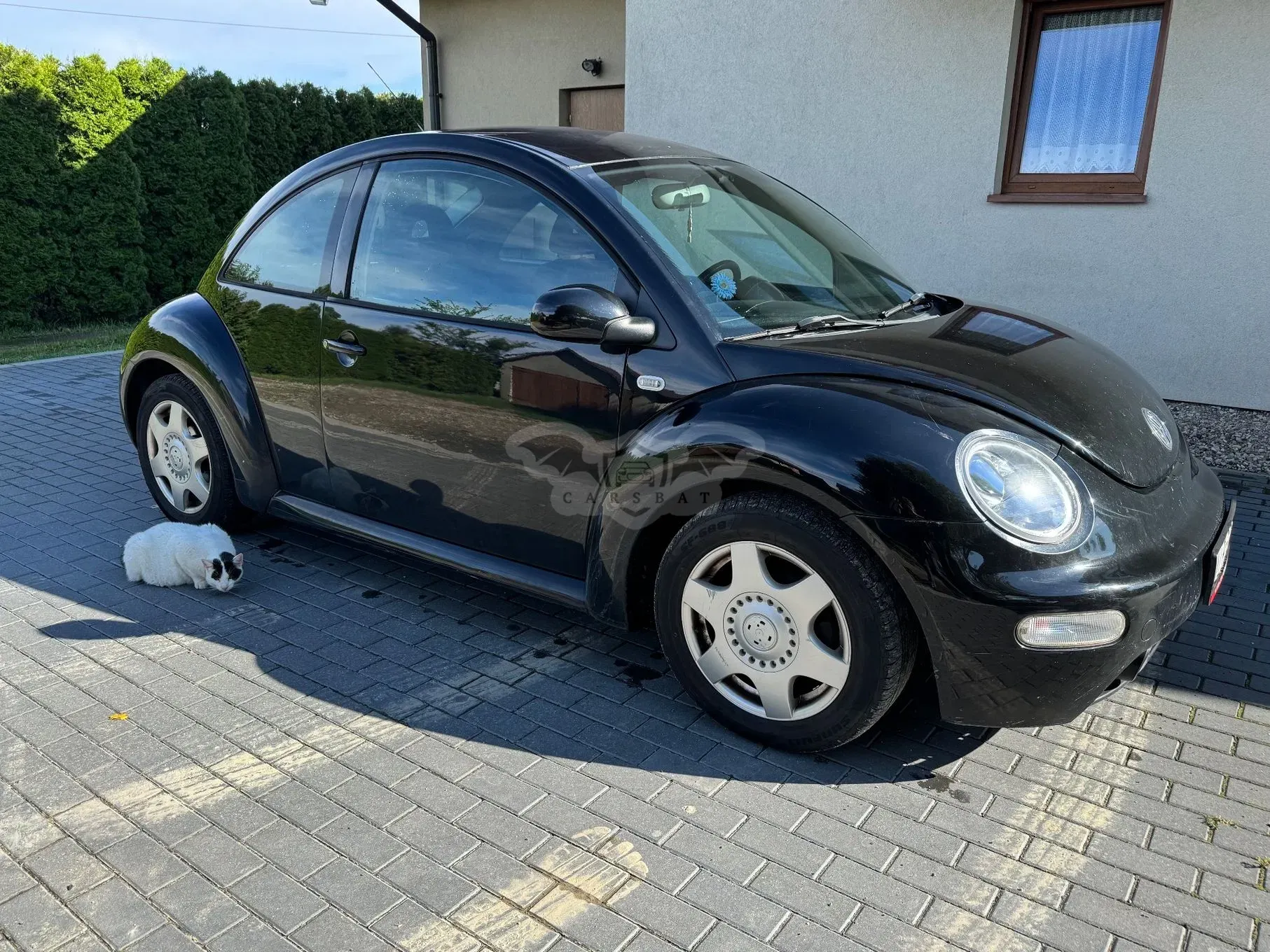 Volkswagen Beetle 1.9 TDI 2002