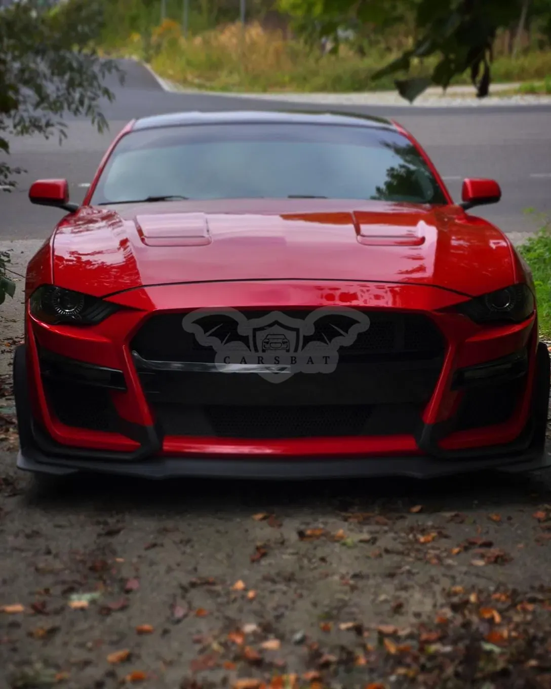Ford Mustang 5.0 V8 GT 2019