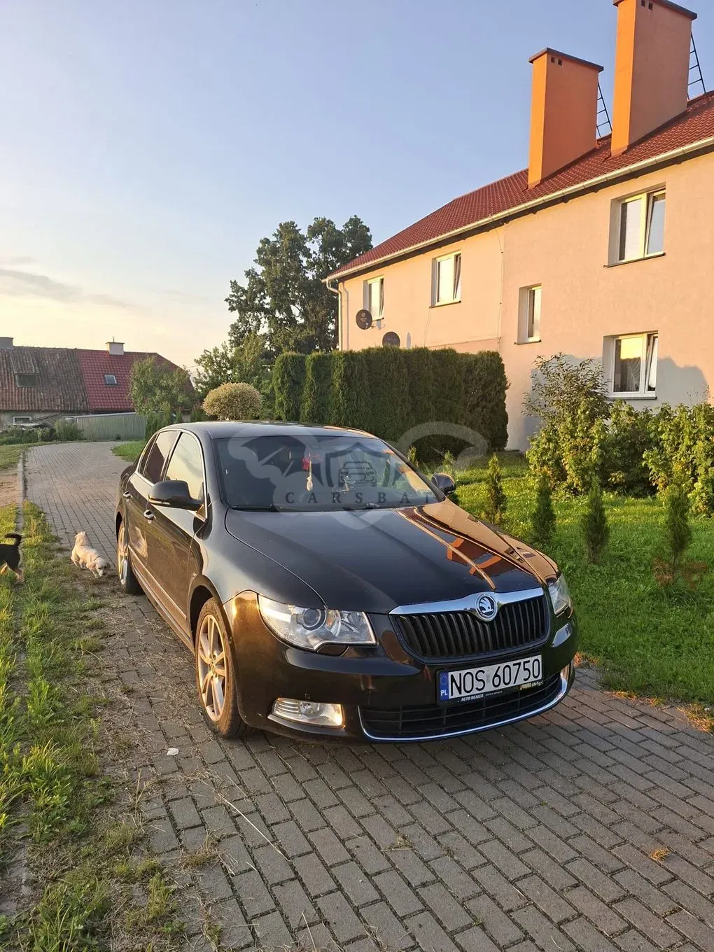 Skoda Superb II (2008-2018) 2008