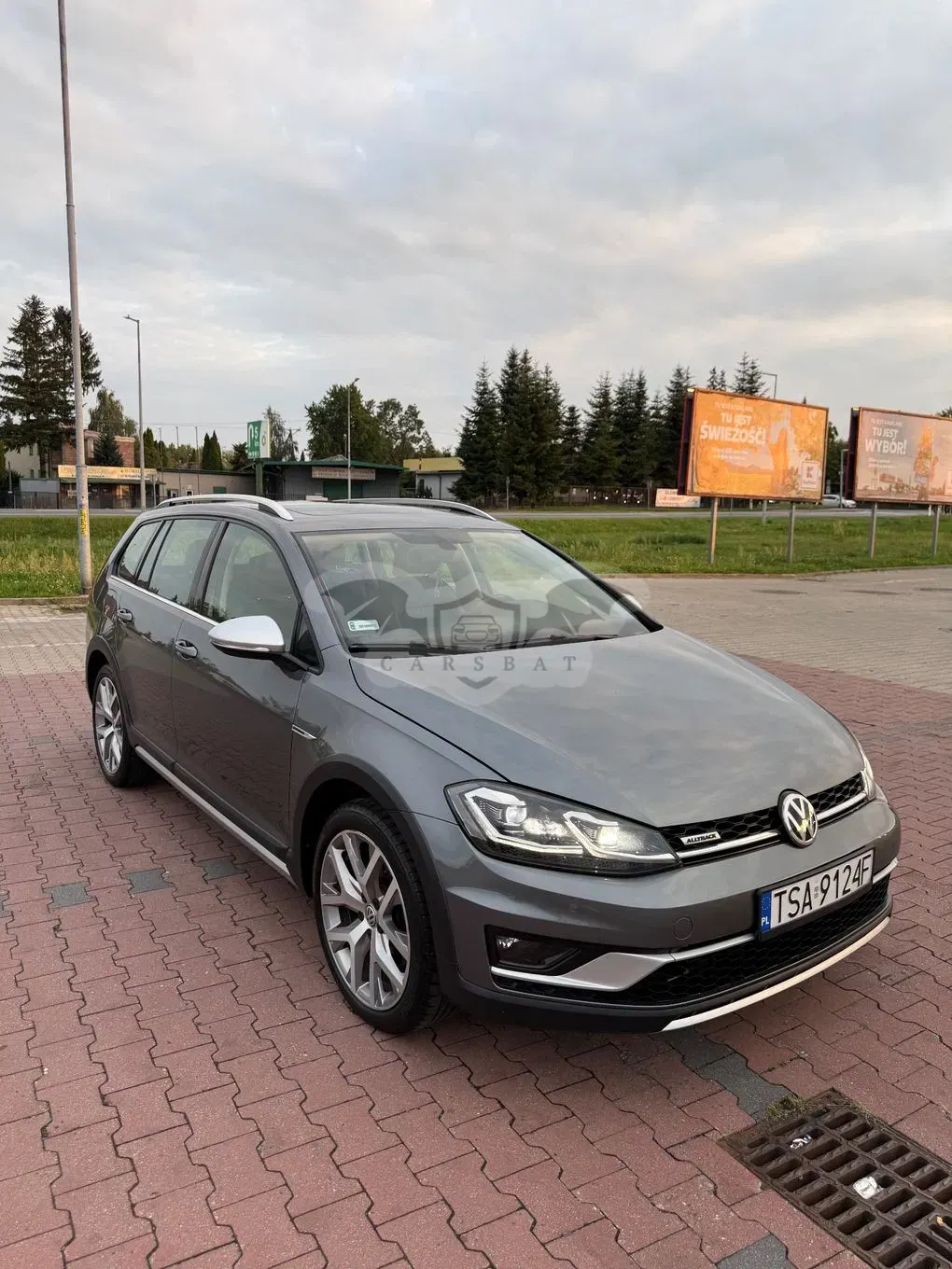 Volkswagen Golf VII (2012-2020) 2019