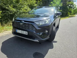 Toyota Rav4 V (2018-) 2.5 Hybrid Comfort 4x2 2019