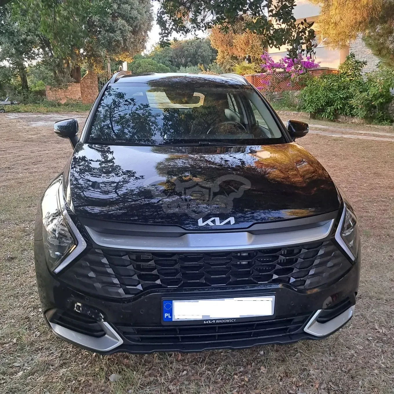 Kia Sportage V (2021-) 1.6 T-GDI M 2WD 2023