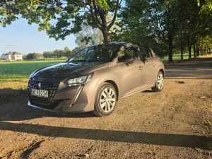 Peugeot 208 II (2019-) 2024