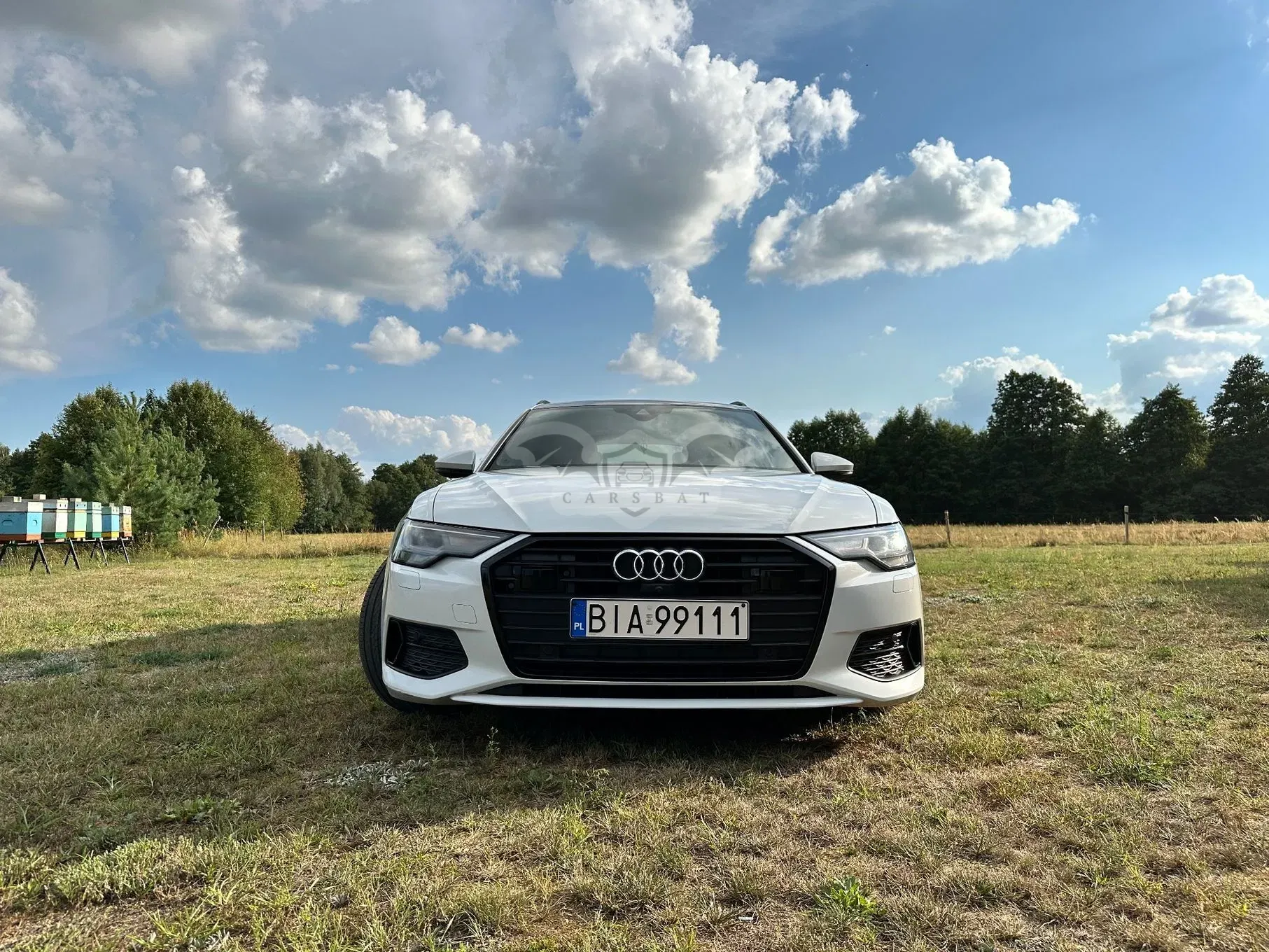 Audi A6 C8 (2019-2025) 40 TDI mHEV S tronic 2019