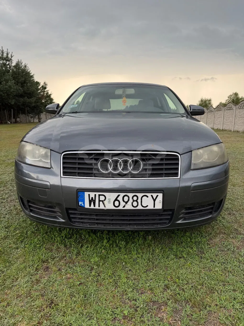 Audi A3 8P (2003-2012) 2.0 FSI Ambiente 2003