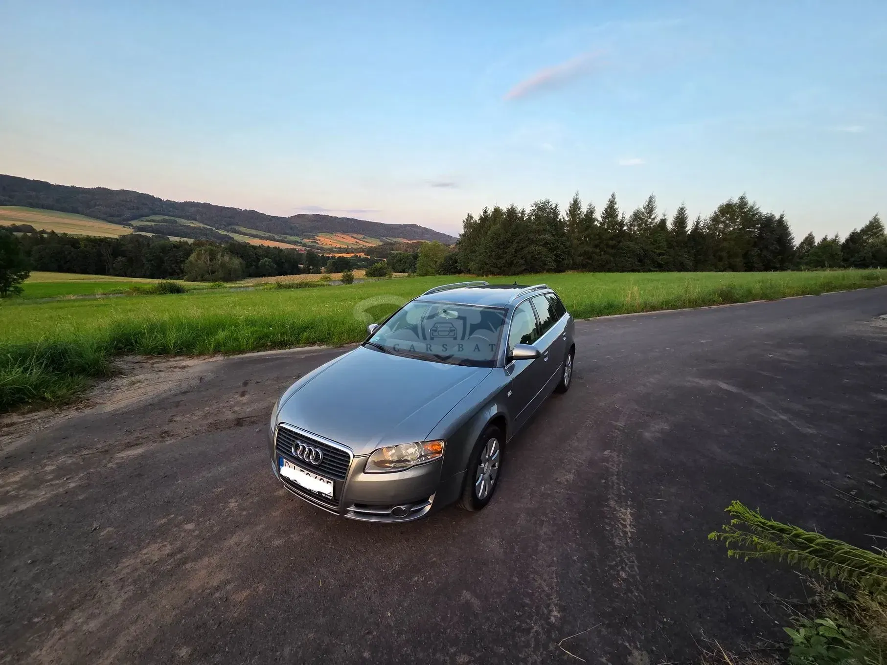 Audi A4 B7 (2004-2007) 1.9 TDI DPF 2008