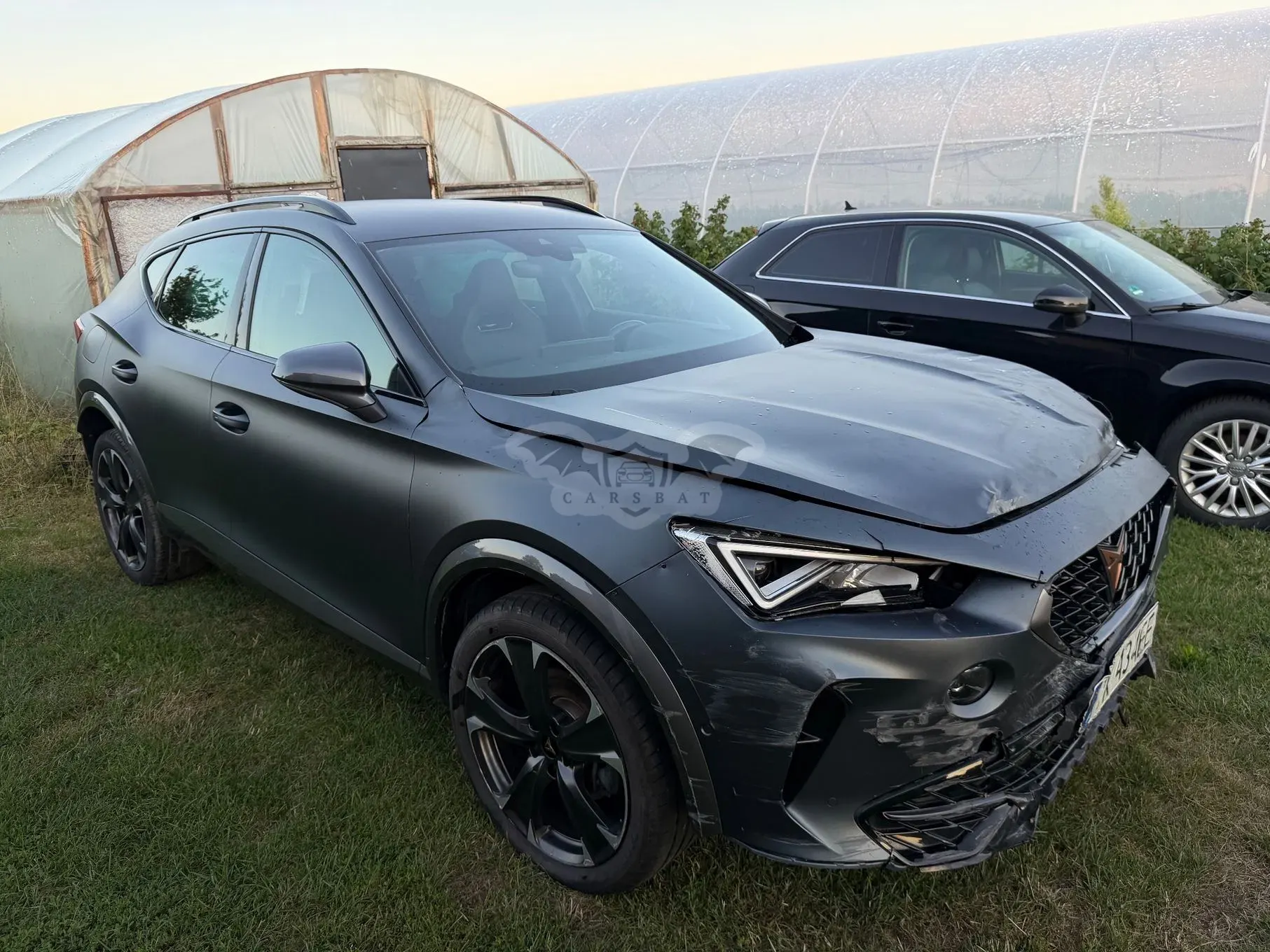 Cupra Formentor 2.0 TSI 4Drive DSG 2024