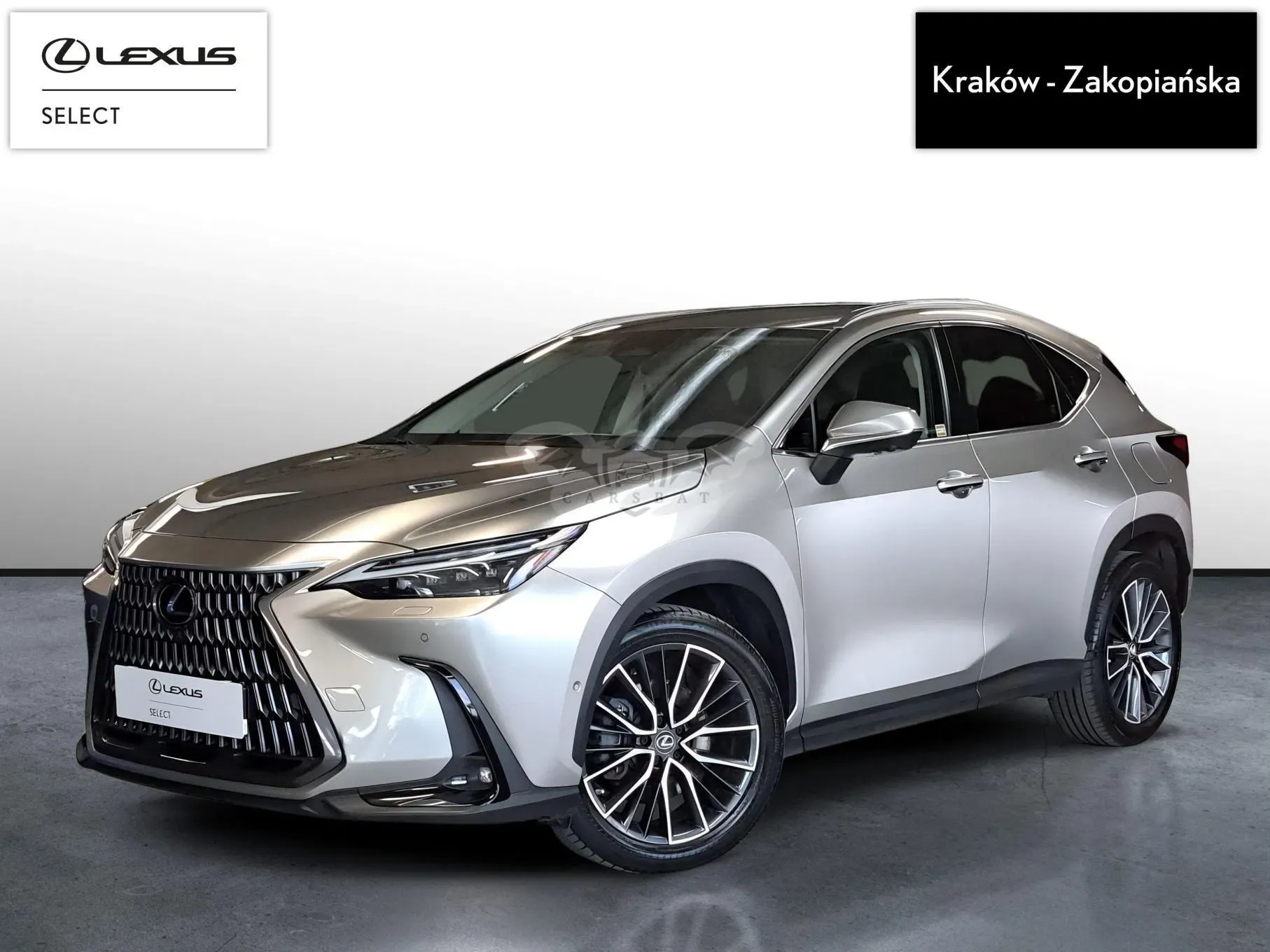 Lexus NX II (2021-) 2023