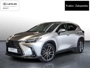Lexus NX II (2021-) 2023