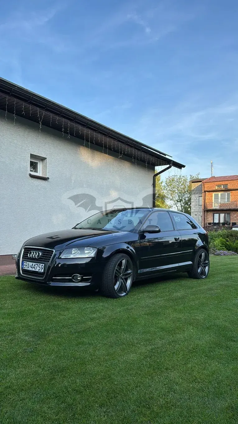 Audi A3 8P (2003-2012) 2.0 TDI DPF Ambiente 2010