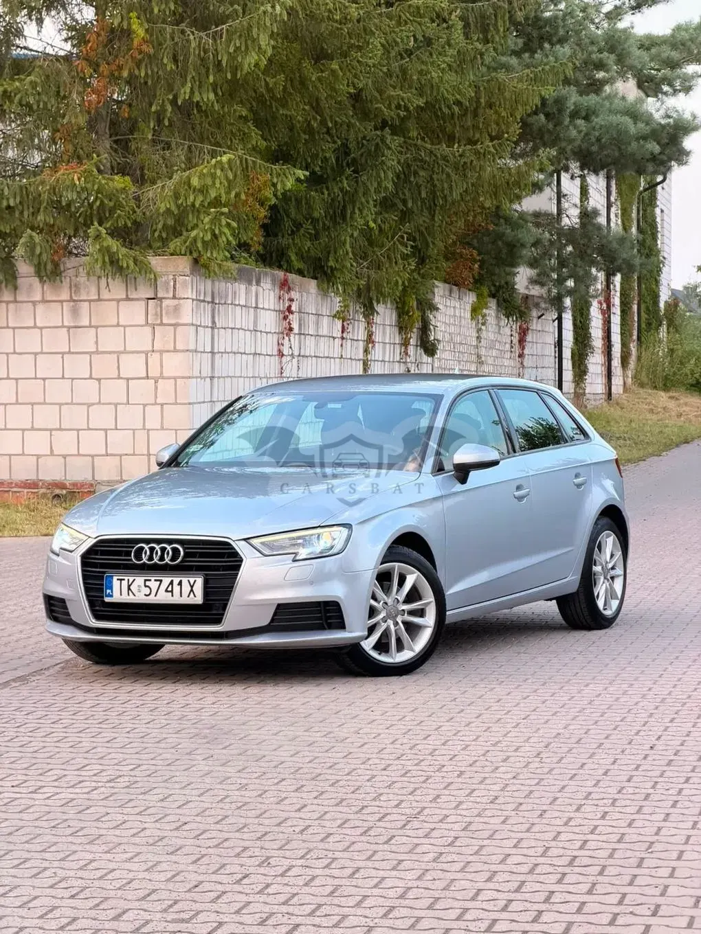 Audi A3 8V (2012-) 1.6 TDI 2016