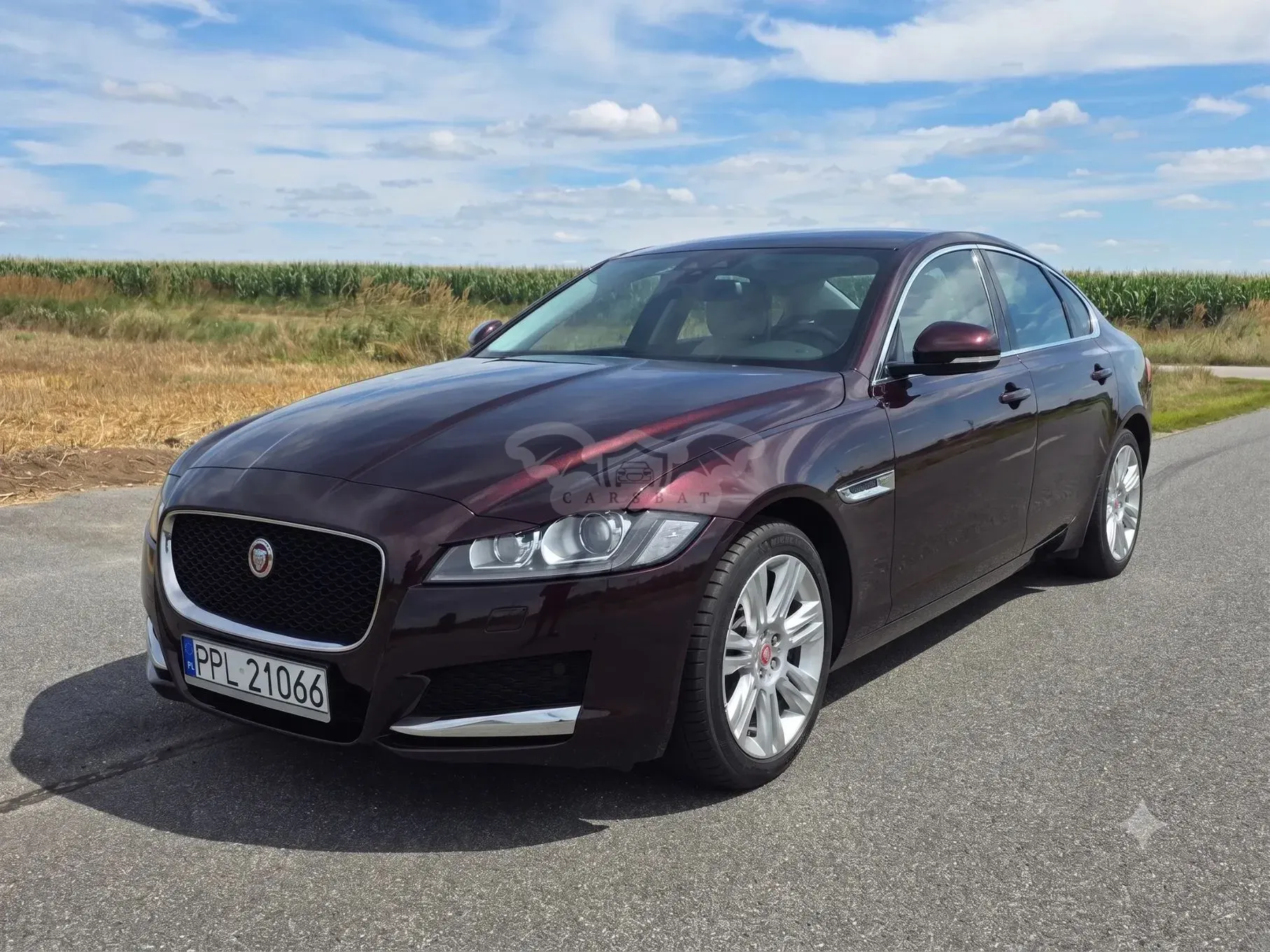 Jaguar XF X260 (2015-) 2.0 T Prestige 2016