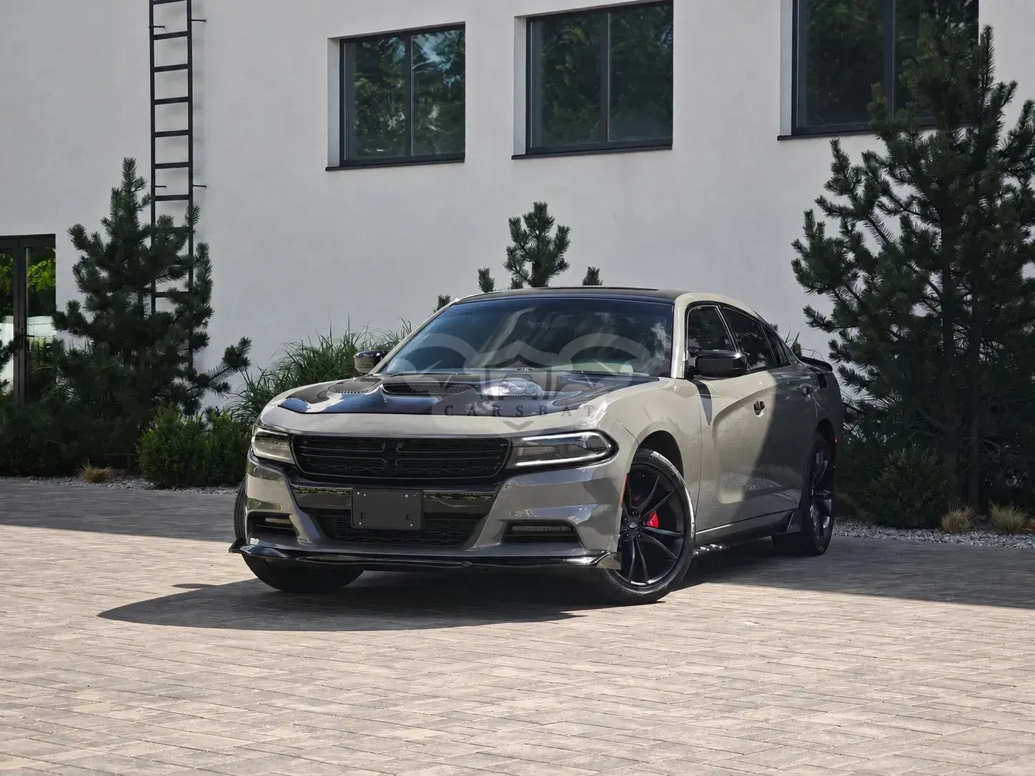 Dodge Charger Automatik Rally 2017