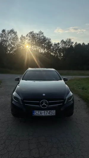 Mercedes-Benz A W176 (2012-) 2014