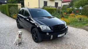 Mercedes-Benz ML W164 (2005-2011) 320 CDI 4-Matic 2006
