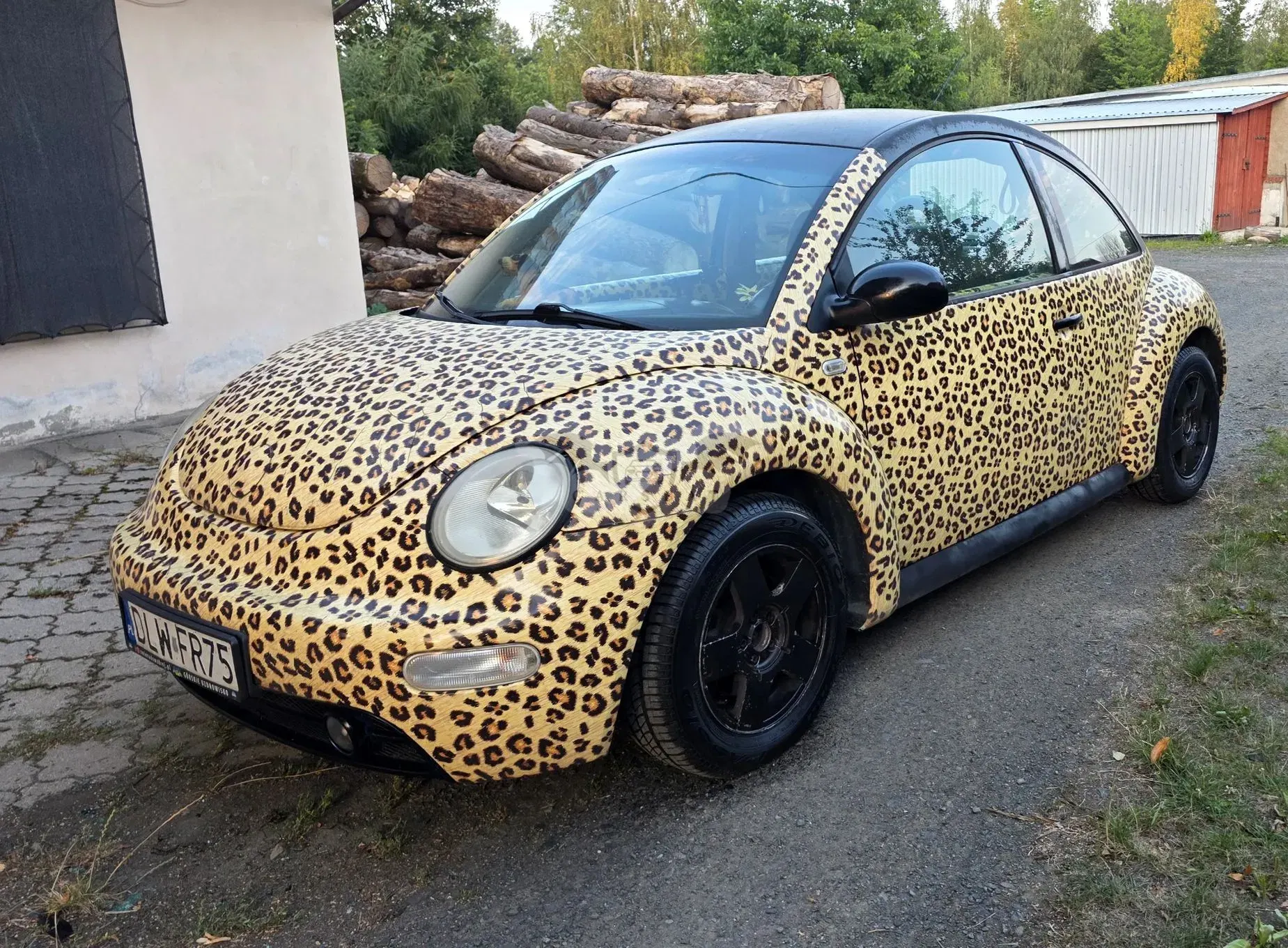 Volkswagen Beetle 1.9 TDI 2001