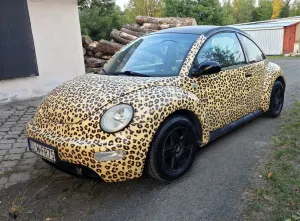 Volkswagen Beetle 1.9 TDI 2001