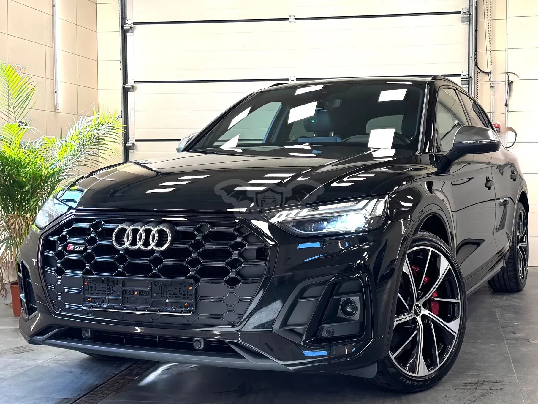 Audi SQ5 TDI mHEV Quattro Tiptronic 2023
