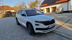 Skoda Kodiaq I (2016-2024) 2.0 Bi-TDI 4x4 RS DSG 2020