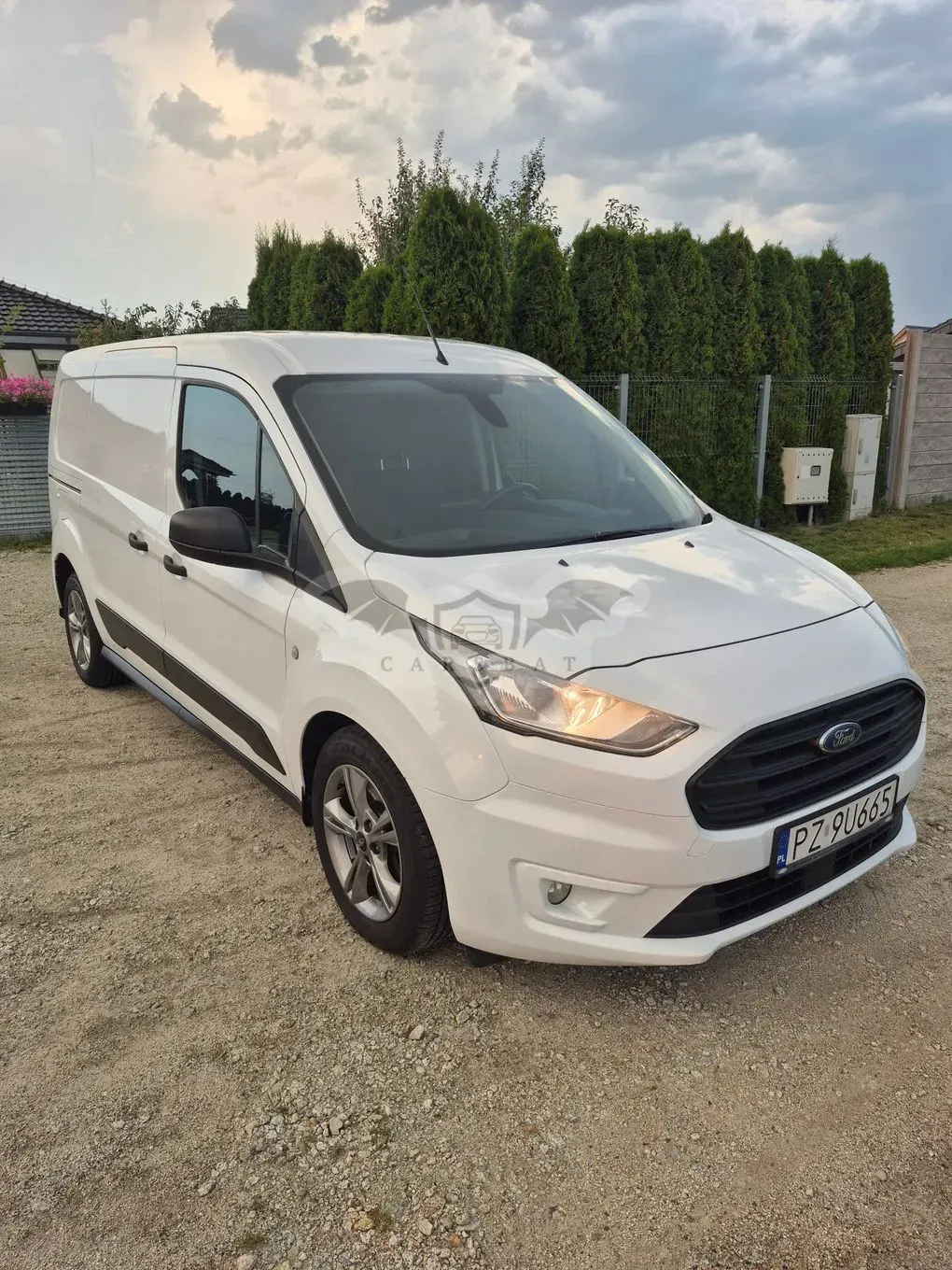Ford Transit Connect 2019