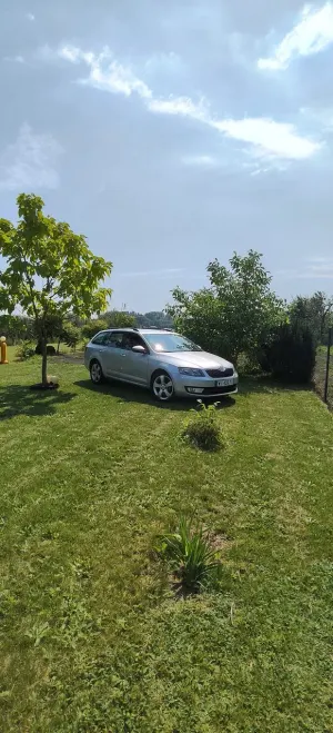 Skoda Octavia III (2013-) 1.6 TDI (Green tec) DSG Ambition 2016