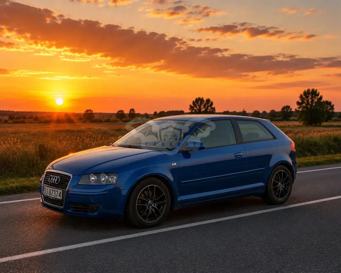 Audi A3 8P (2003-2012) 2007
