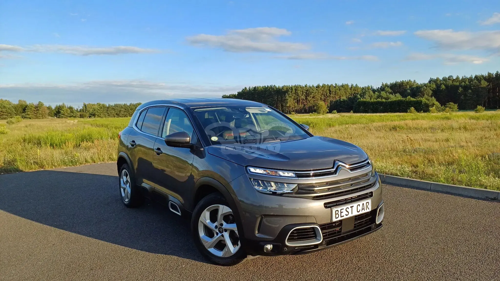 Citroën C5 Aircross BlueHDI 130 S&S EAT8 C-SERIES 2022