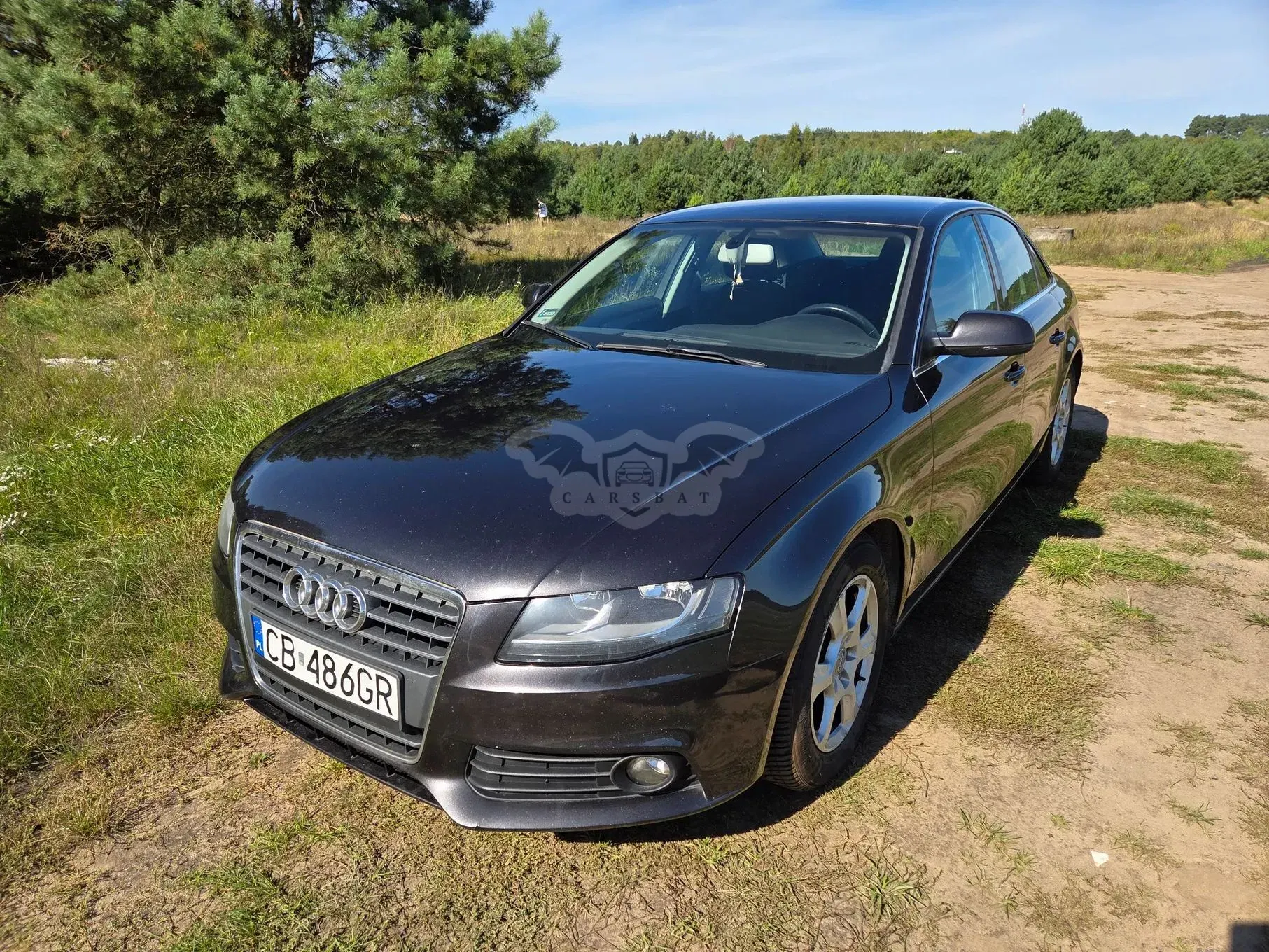 Audi A4 B8 (2007-2015) 2010