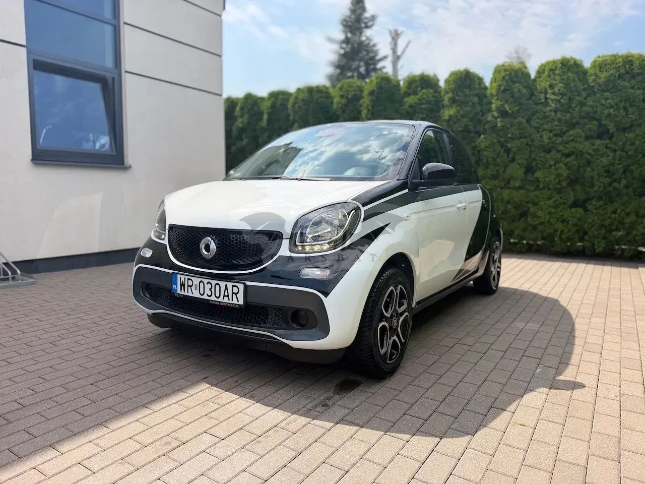Smart Forfour II (2014-) passion 2016