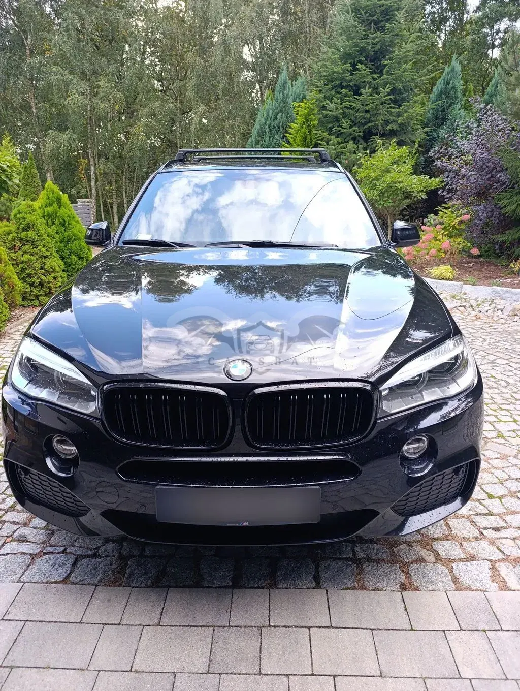 BMW X5 G05 (2018-) xDrive25d 2018