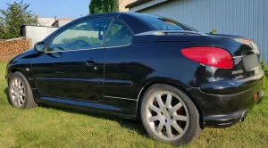 Peugeot 206 2.0 2002